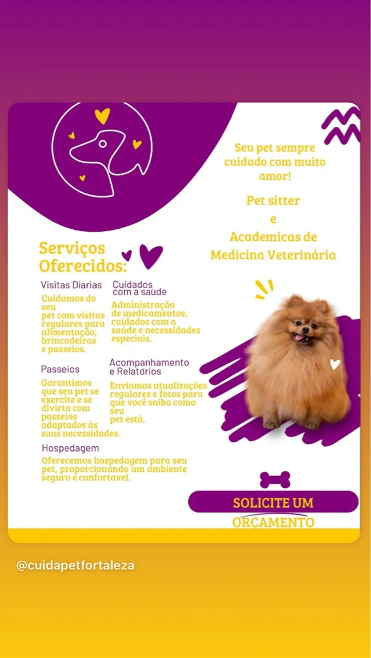 Cuidador de Pets em Fortaleza