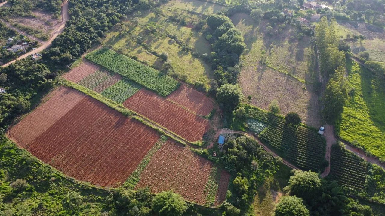 Chacaras rurais em mateus leme  - Foto 4