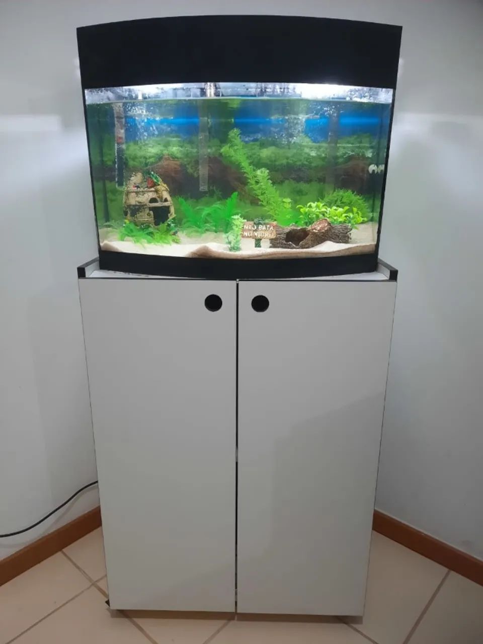 Aquário Curvo lindo 80 litros mais equipamentos, pronto para uso. - Foto 3