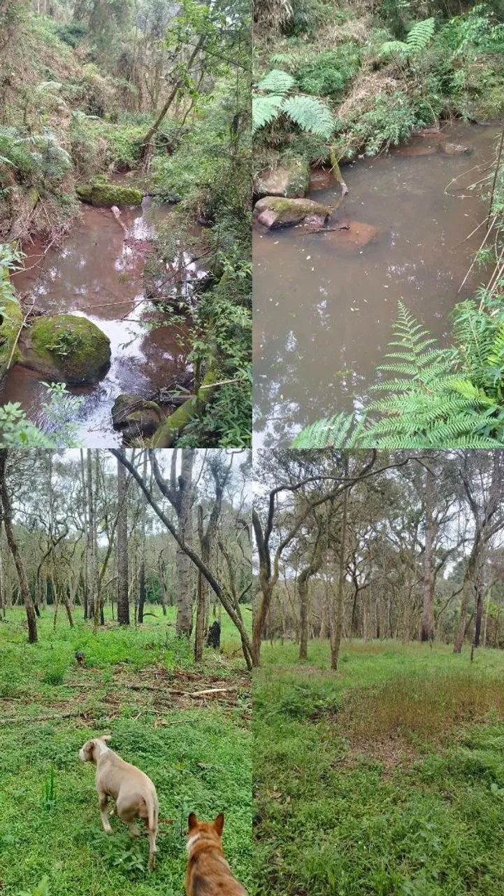 Sítio  a 25 km do centro de lages  - Foto 3