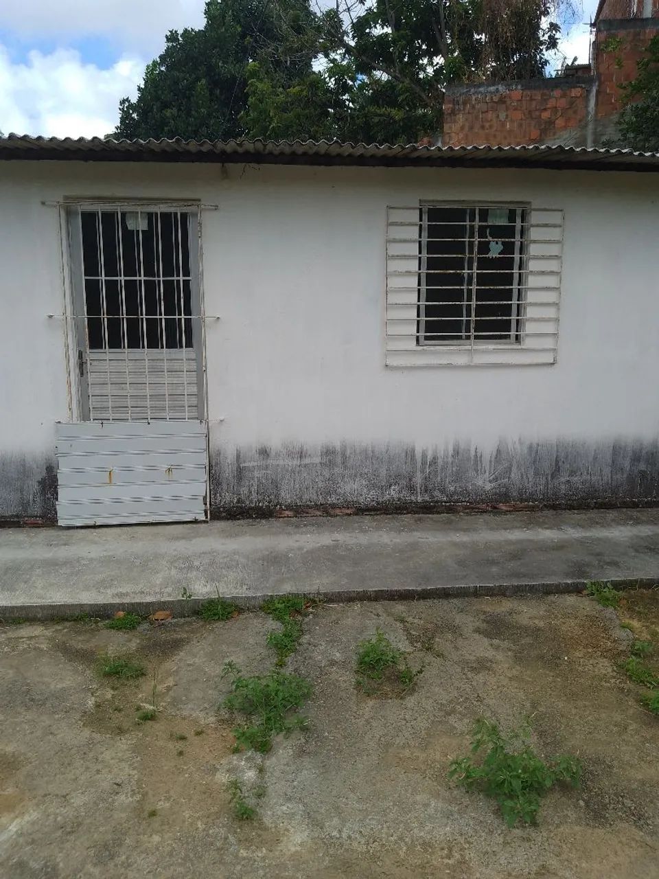 Foto - Paulista - Mirueira