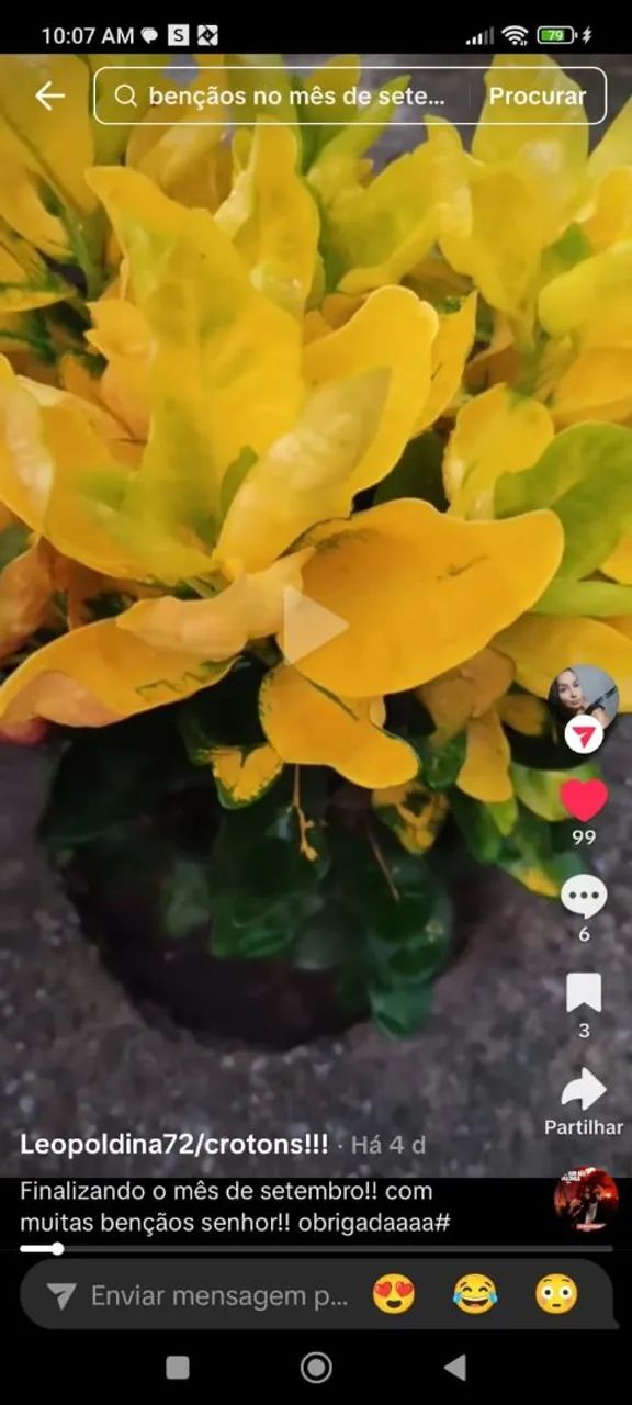 Plantas de ?64310337463938124