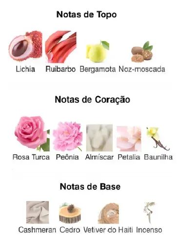 Nk 1.0 Eau De Parfum Nk Perfumes Feminino 100ml - Foto 2