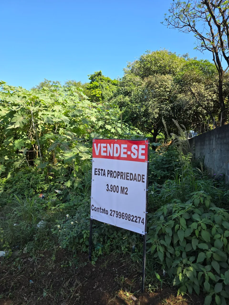 Vendo propriedade com 3900m2
