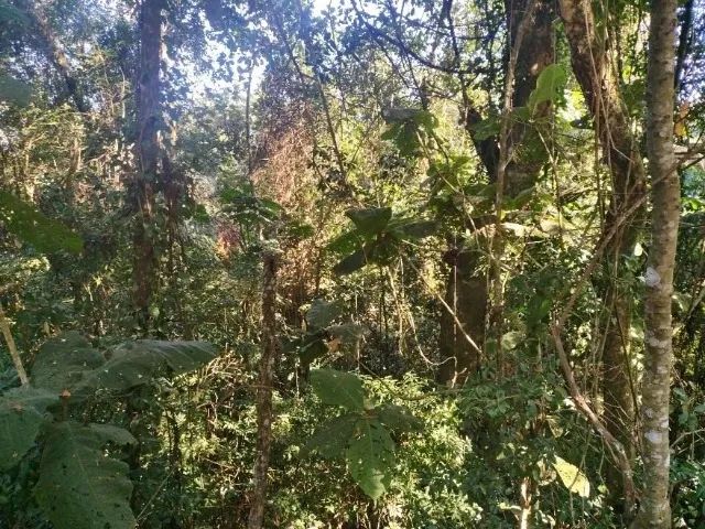 Terreno Parque Suiça - Venda e/ou Permuta - Foto 2