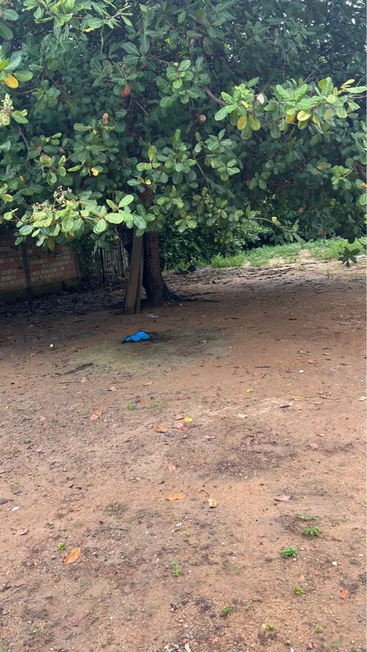 Terreno no bairro Aracelis