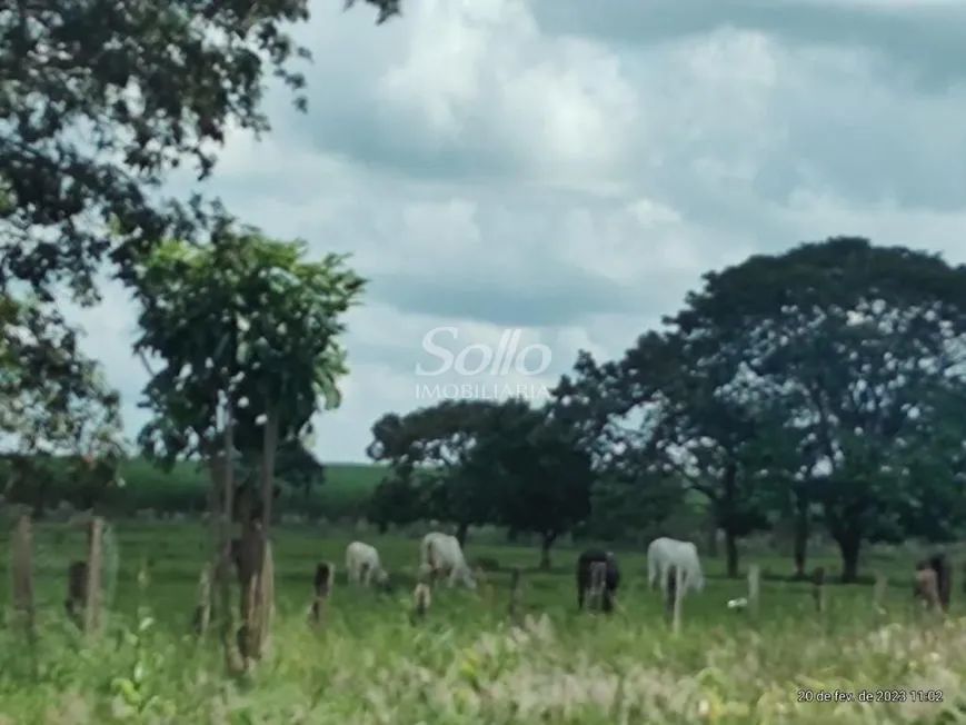 Venda Fazenda DOURADINHO - Foto 2