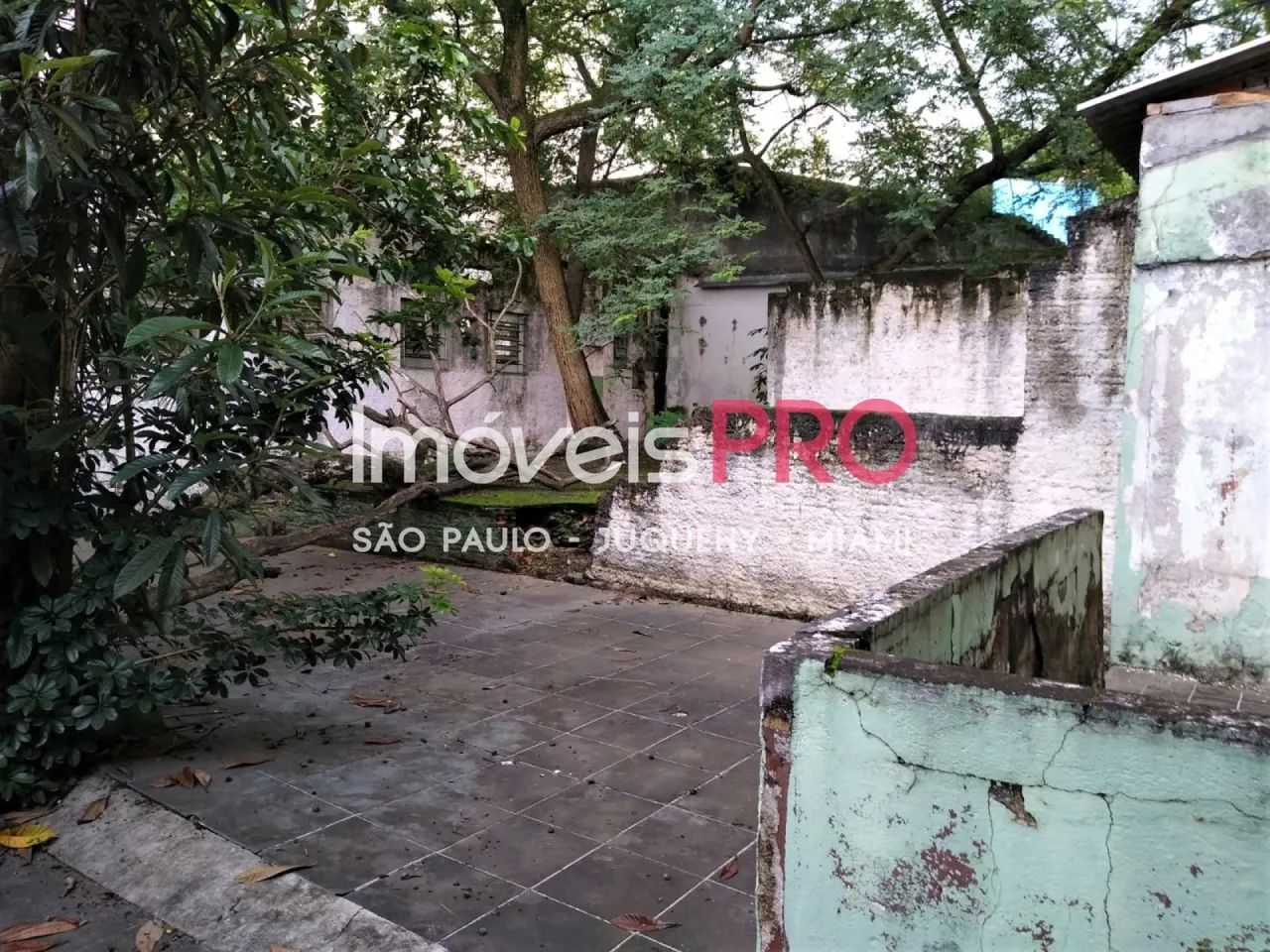 Galpão, Vila Alexandria - São Paulo - Foto 3