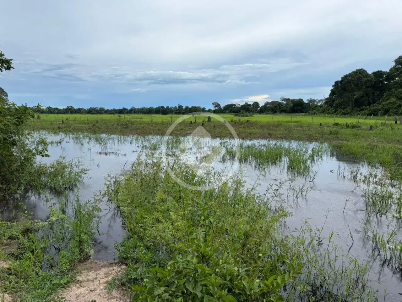Fazenda de 512 Hectares em Poconé  Pronta para Pecuária e Lazer codigo: 325459 - Foto 3