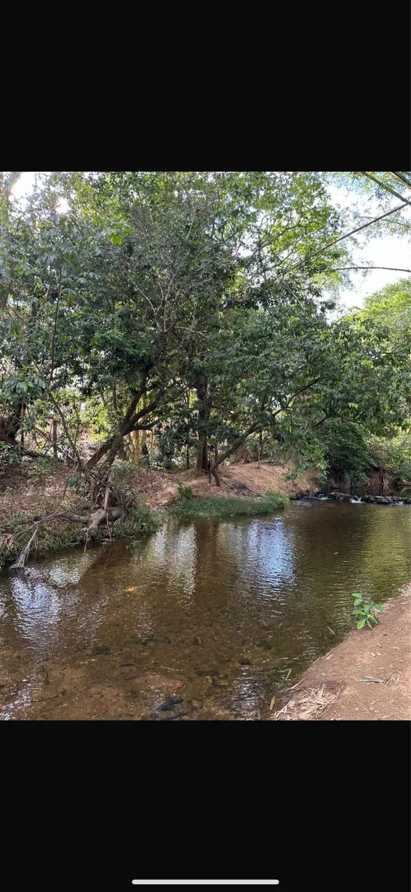 Chácara com rio tamanho 2,5 hectares  - Foto 3