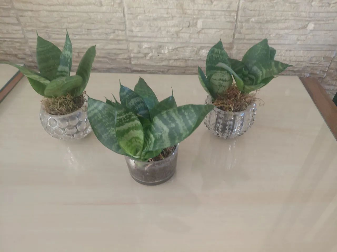 Jardinagem 