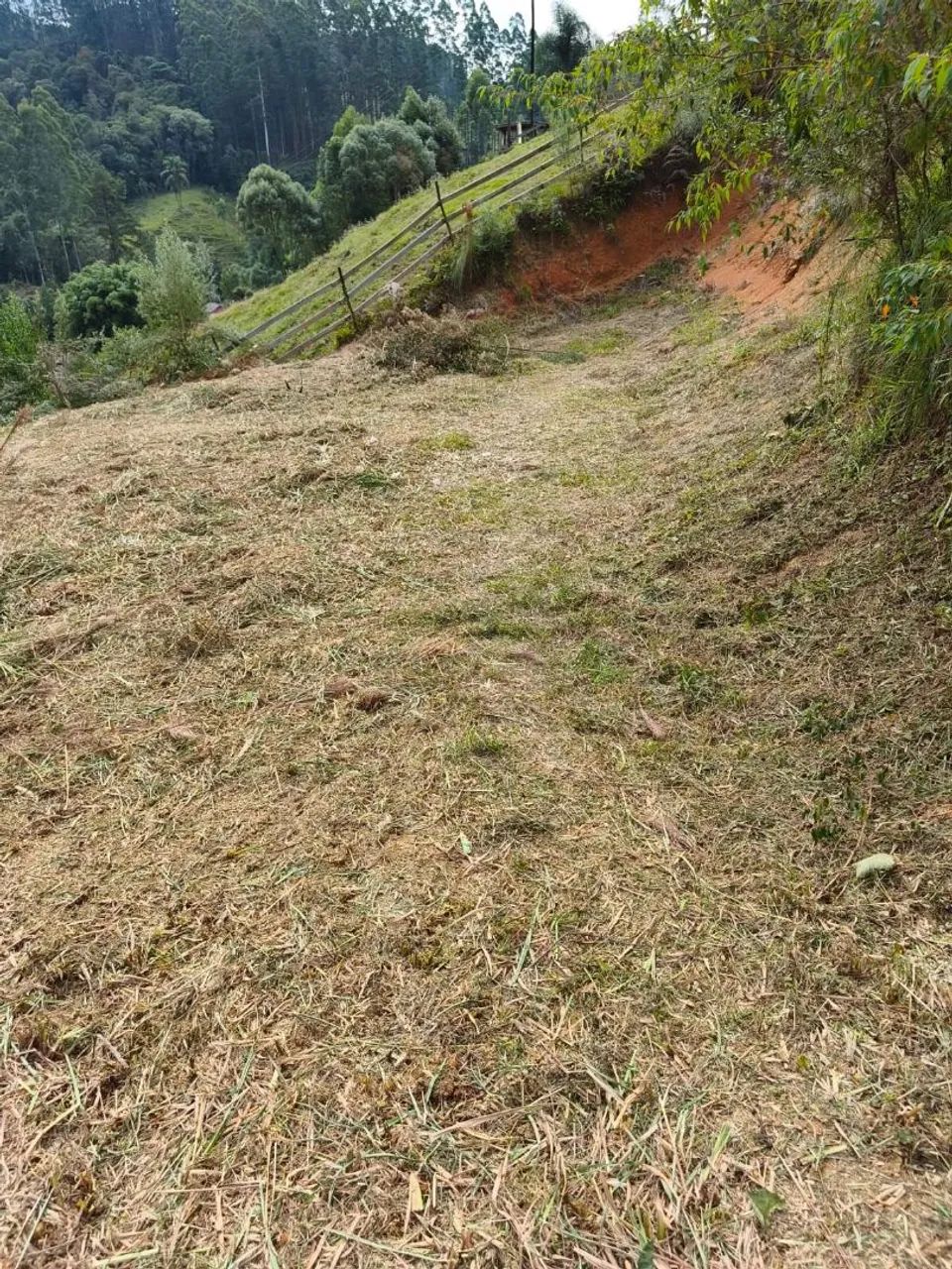 Vendo terreno em anitapolis  - Foto 5