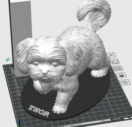 Seu cachorro em 3D - Foto 2