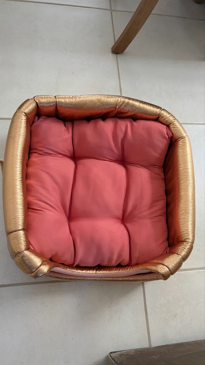 Casinha para cachorro 