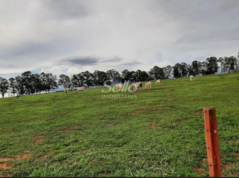 Venda Fazenda DOURADINHO - Foto 3