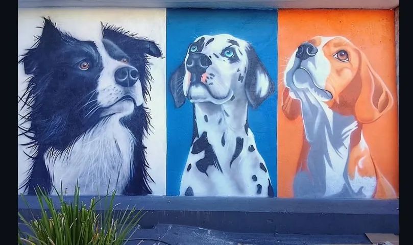 Letrista