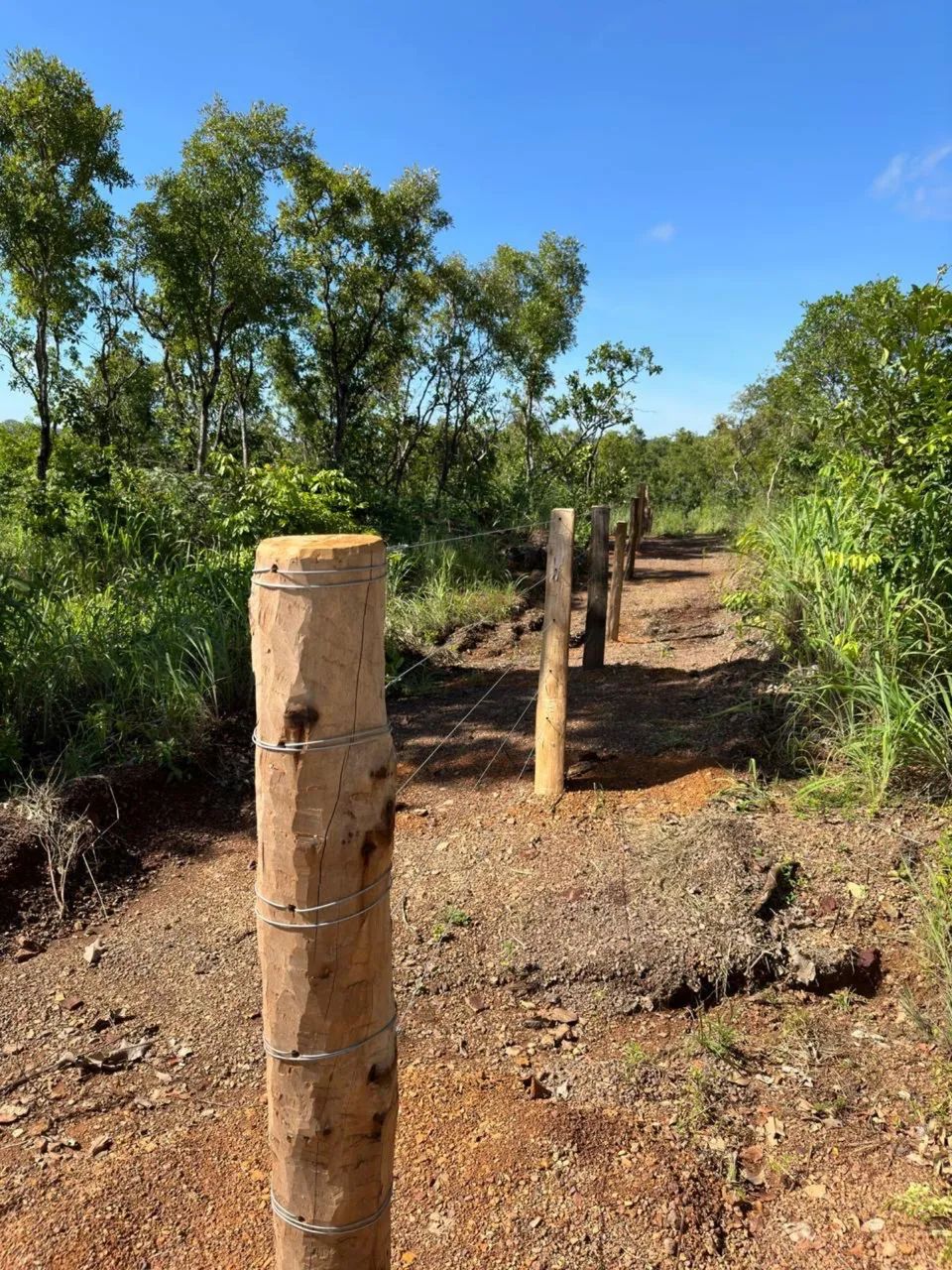Aluguel de Pasto Próximo a Palmas - 500 Cabeças - Estrutura Nova  - Foto 2