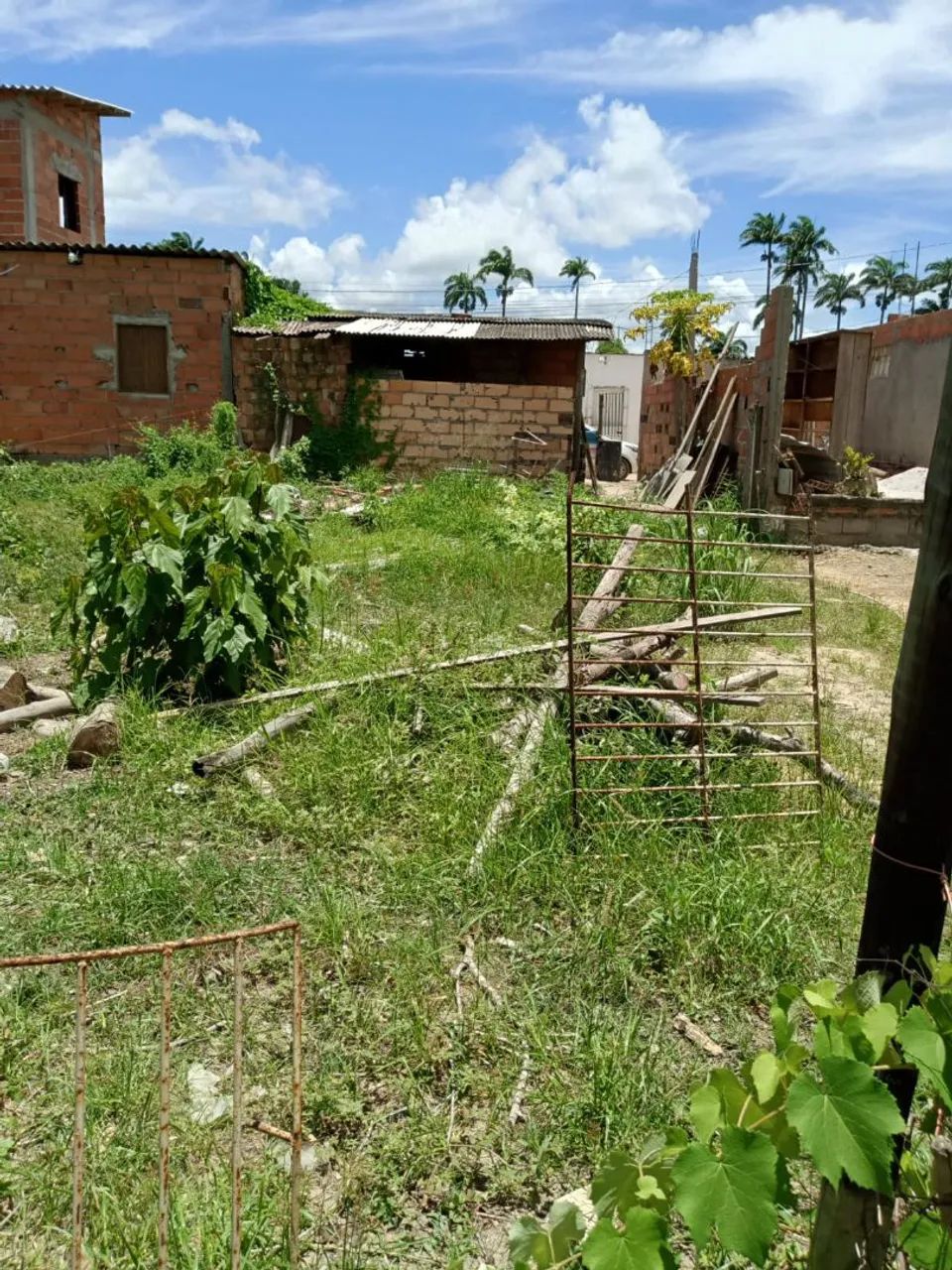 Vendo terreno no maruin - Foto 4