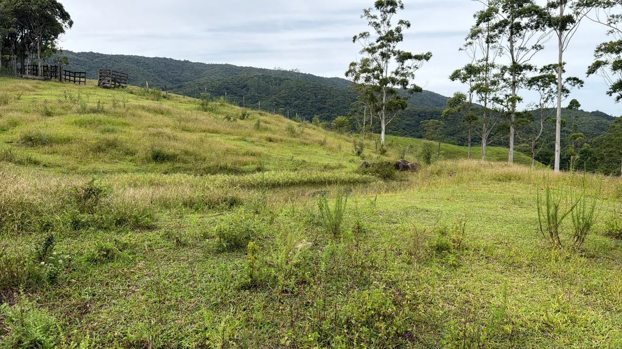 Terreno com vista pra cidade - Foto 2