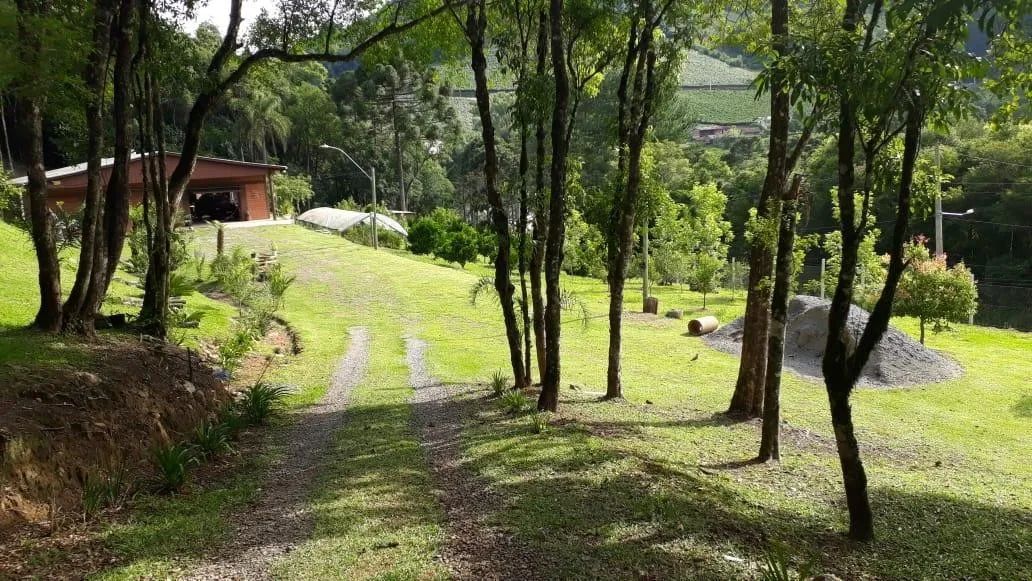 Chácara Jansen Farroupilha - Foto 3