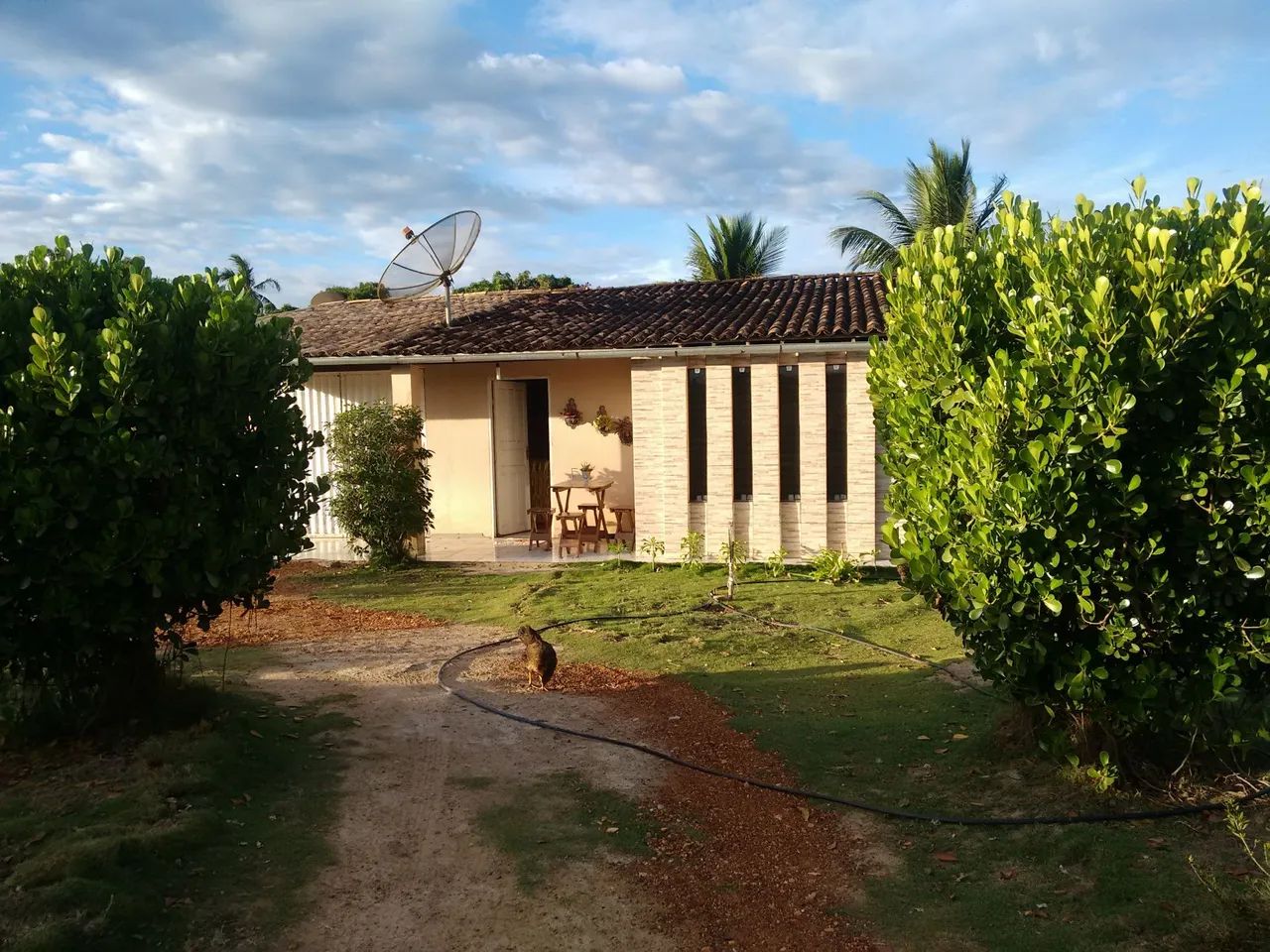 Sítio 3 poderes povoado salobra Simão Dias Sergipe.