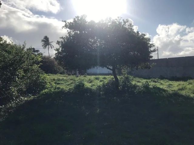 TERRENO NO MOSQUEIRO, 15x30mt - Foto 3