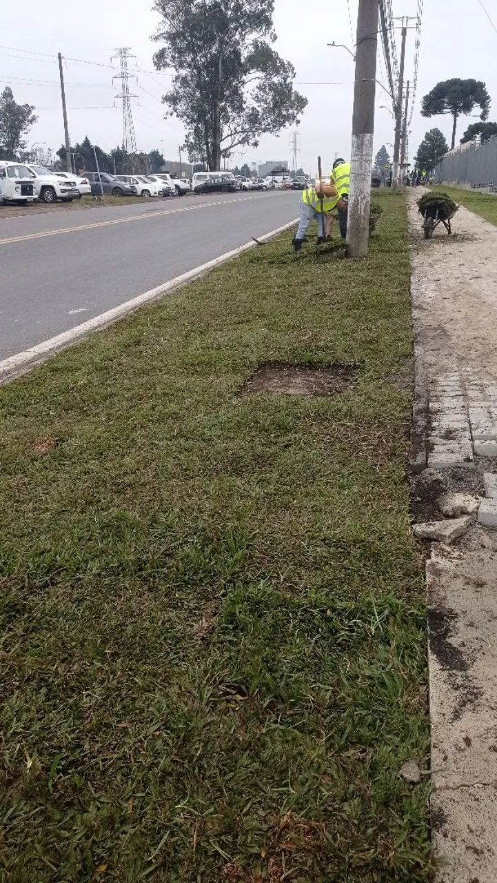 Auxiliar de cololação de Grama - Foto 4