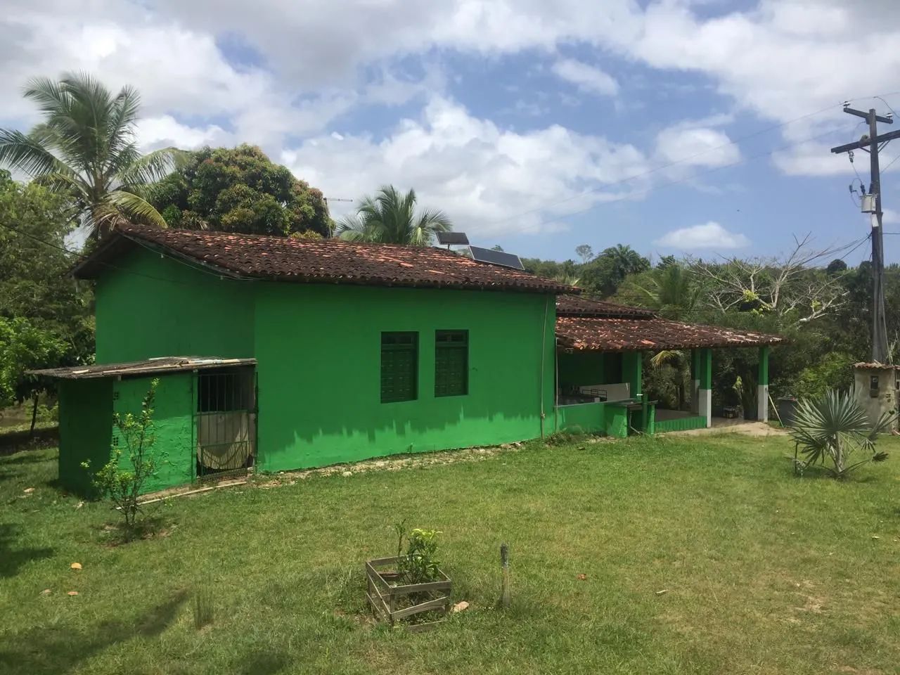 Fazenda Sossego - Palmares (BA) - Foto 3