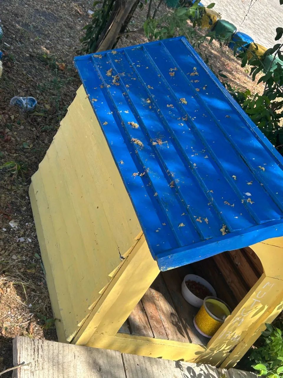 Casinha para pets - Foto 3