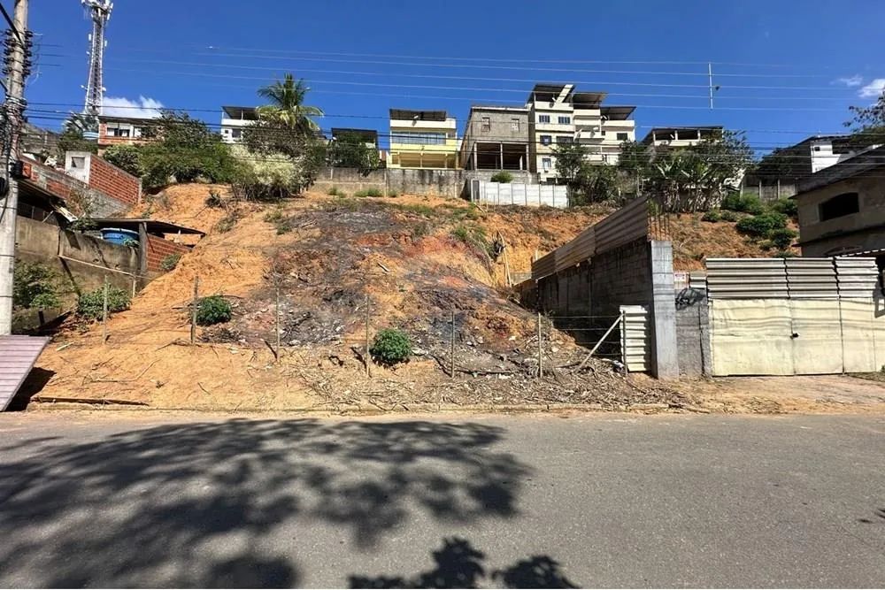Terreno Versátil em Muriaé: Excelente Preço! - Foto 4