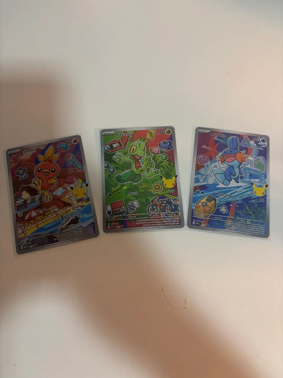 Pokémon Trio Hoenn 