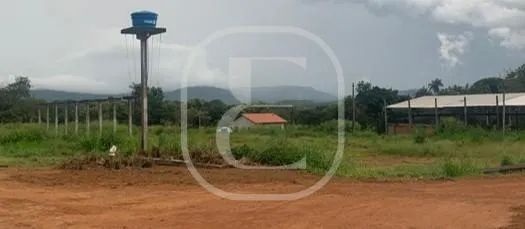 Galpão com 2 dormitórios para venda e locação no bairro Plano Diretor Sul - Foto 5