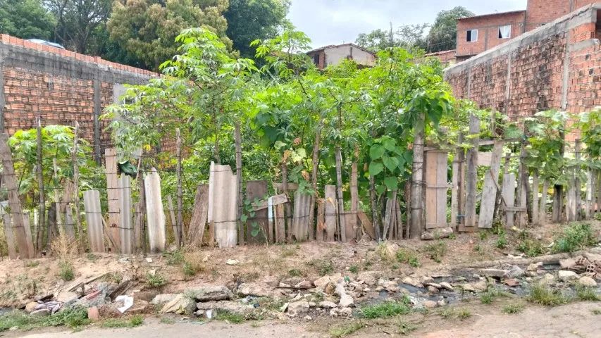 Venda de Terreno 