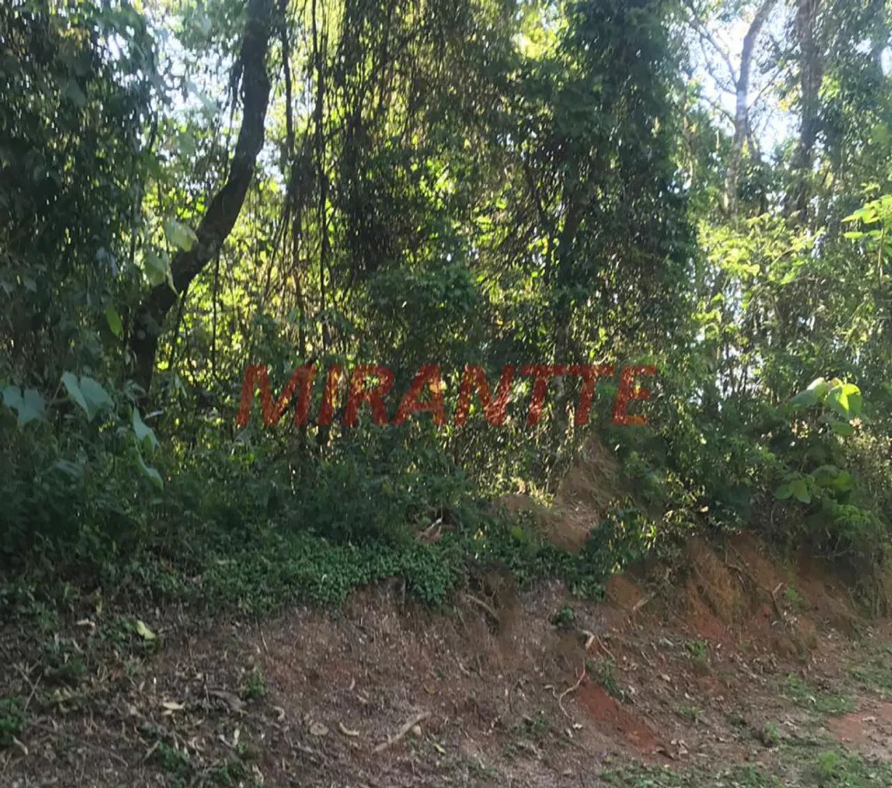 Terreno em Serra da Cantareira