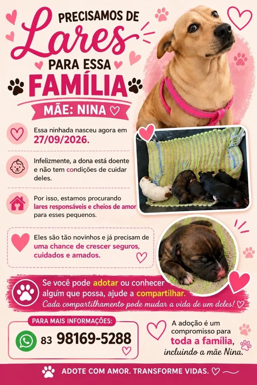 Adoção responsável 