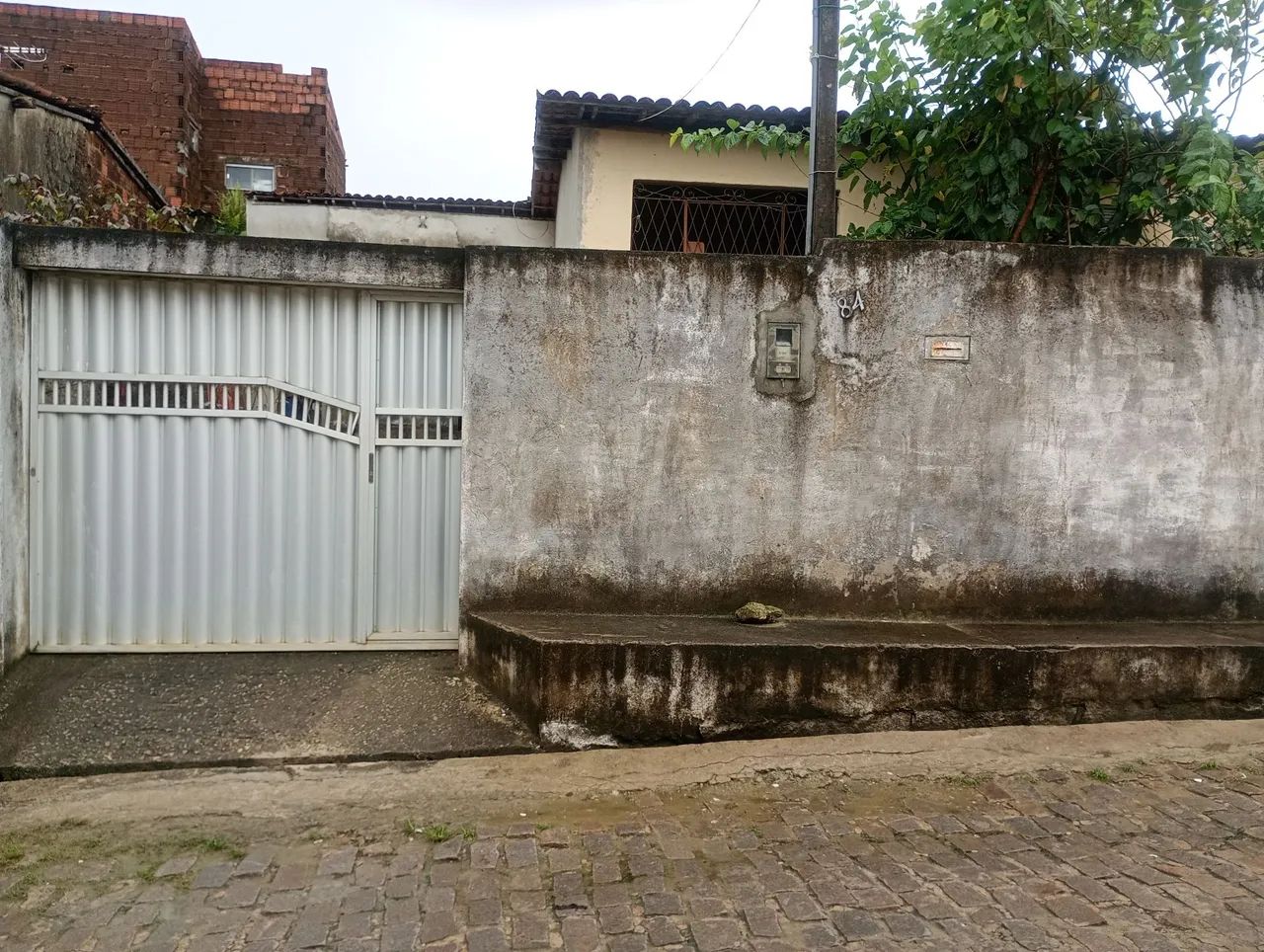 Está a venda 
