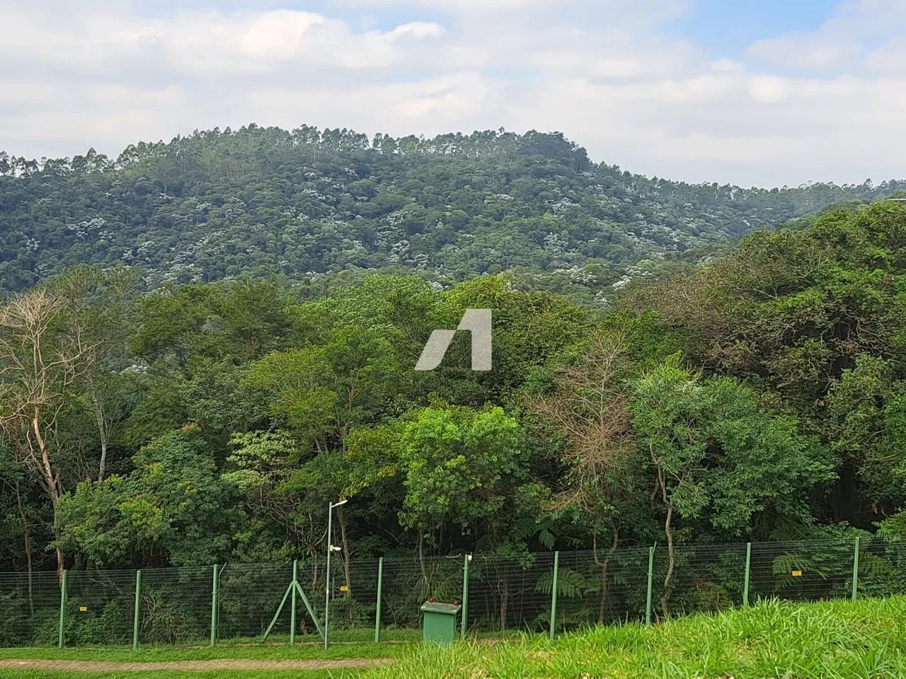 Gênesis 02 - Gênesis 2 - Foto 4