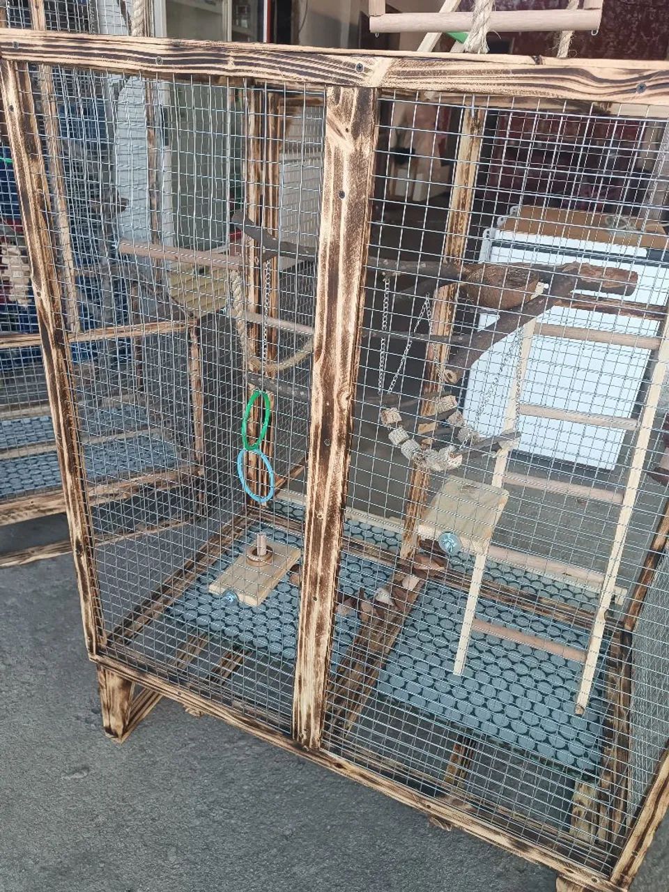 VIVEIRO CALOPSITAS/AVES EXÓTICAS  - Foto 4