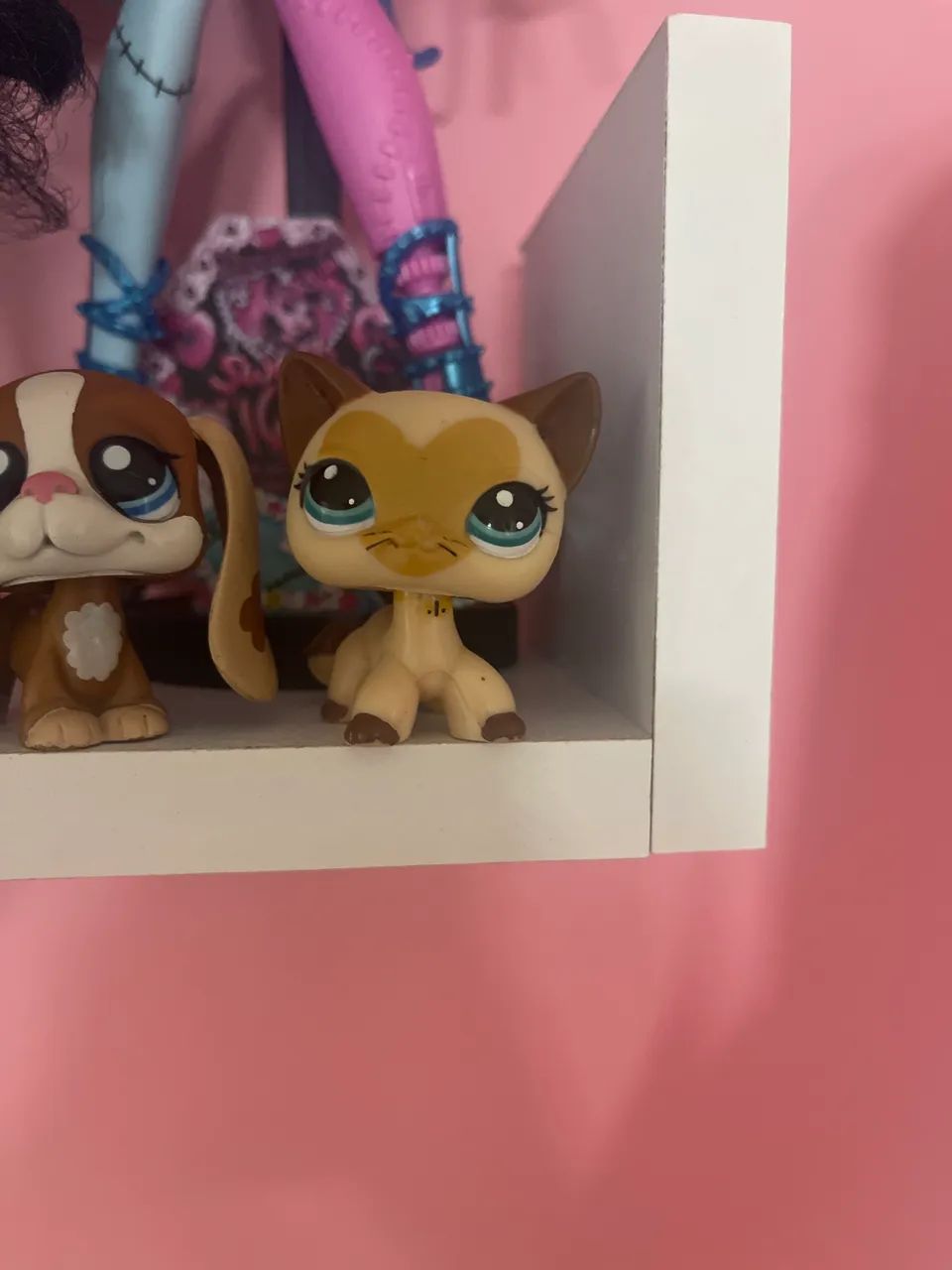 lps gatinho
