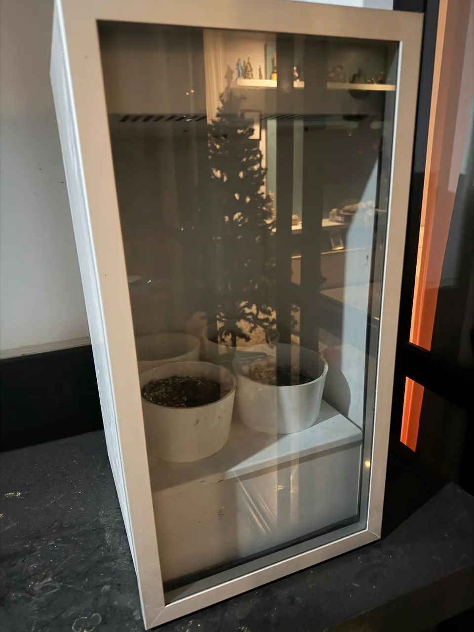 Plantario com iluminação automática 