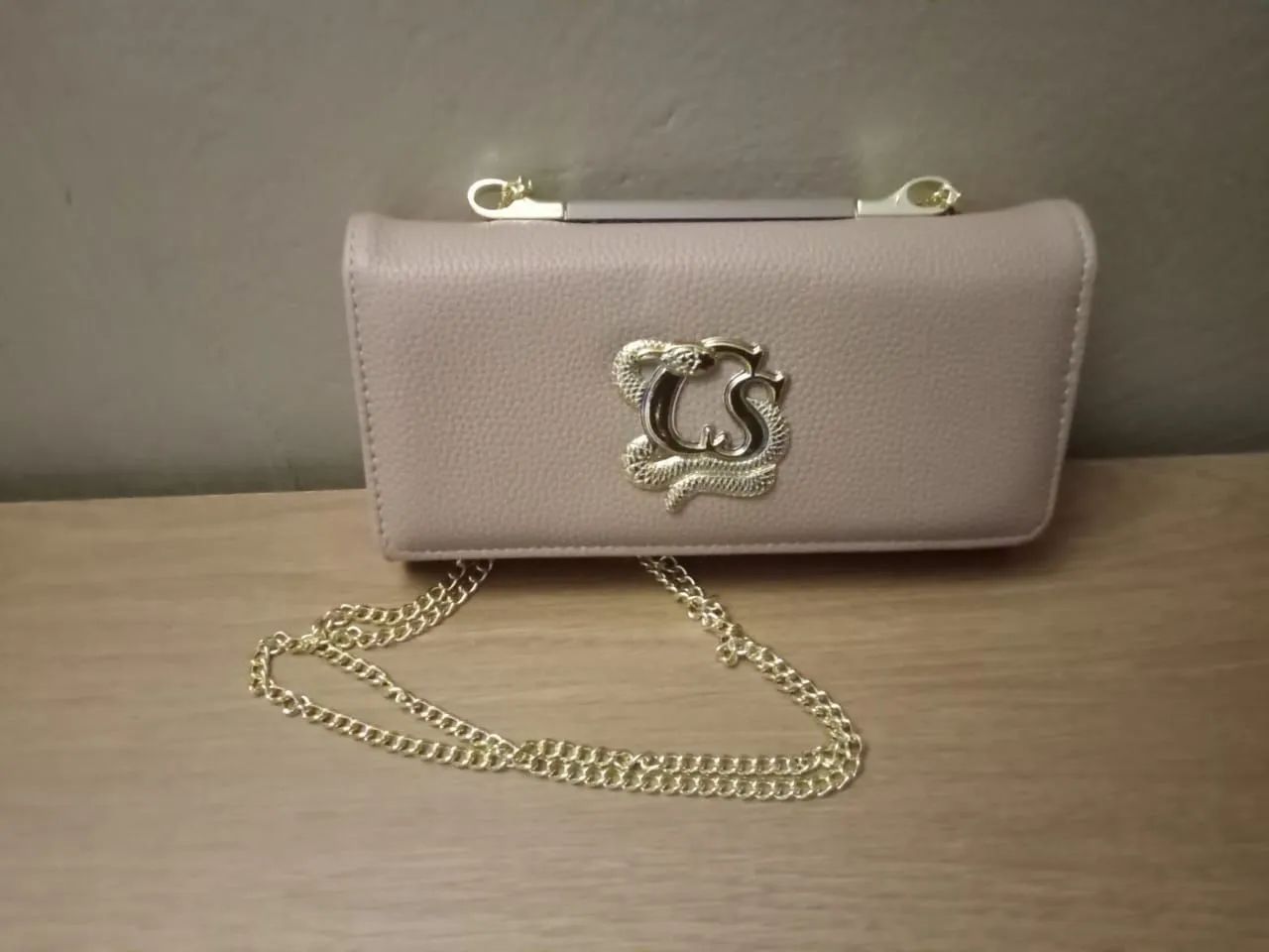 Bolsa carteira  Carmen steffens