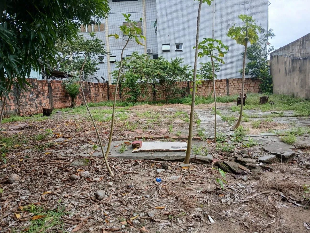 Terreno de 375m² no Dom Pedro - Foto 3