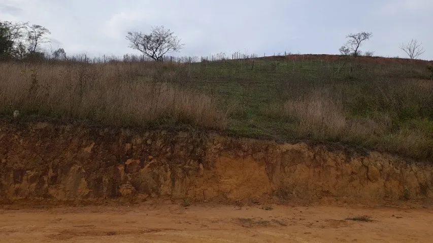 Roçagem e Limpeza de Terrenos, Lotes e Chácaras