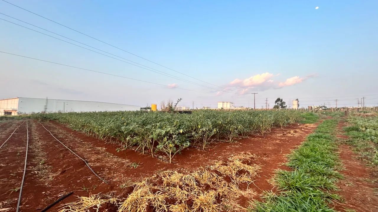 Instale sua usina solar ou indústria - Foto 3
