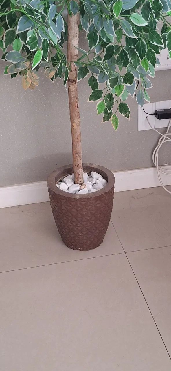 Planta decorativa - Foto 2