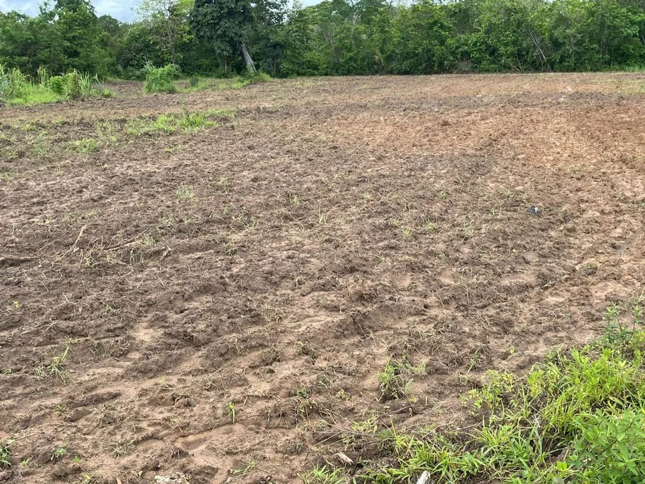 Imóvel rural no Paranã em Paranã - Foto 3
