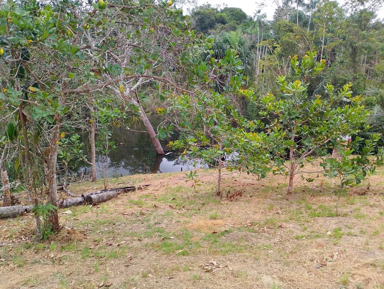 Chácara no Rio Preto da Eva