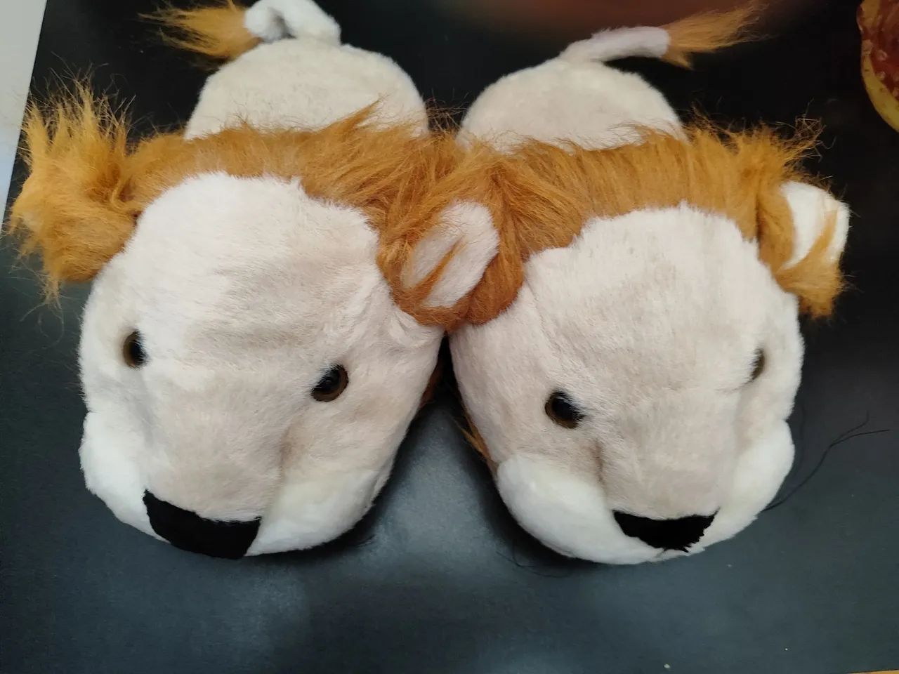Pantufa leão. - Foto 2