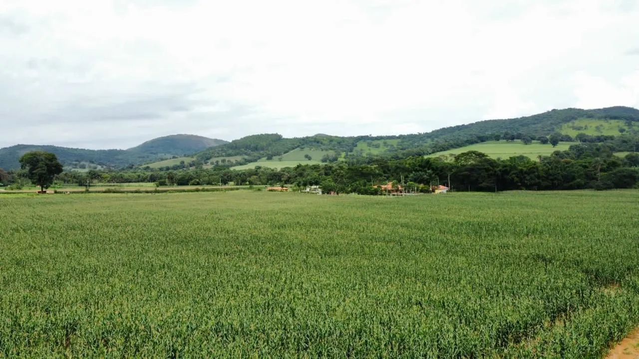 Lotes em serra azul Mateus leme  - Foto 5