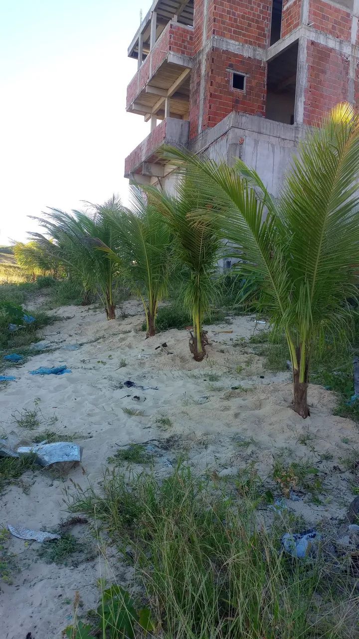 Coqueiros bae - Foto 3